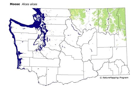 moose range map washington state.